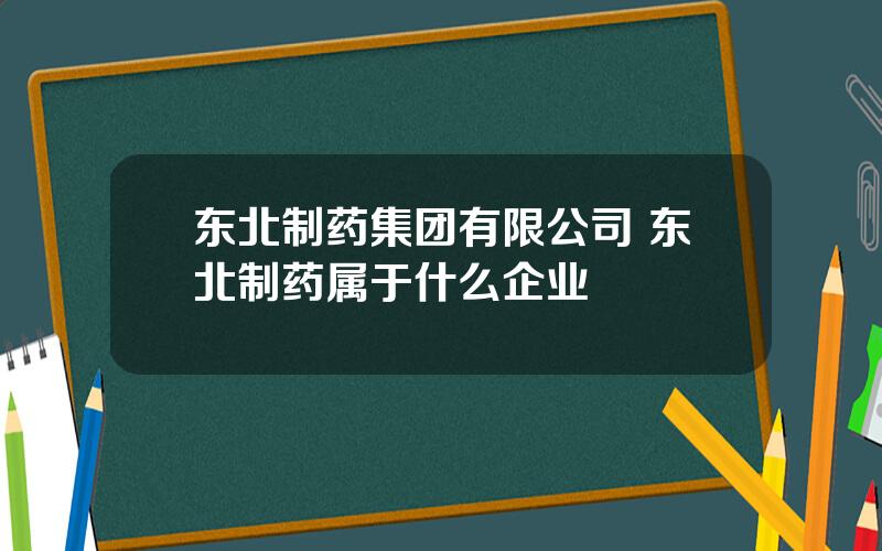 东北制药集团有限公司 东北制药属于什么企业